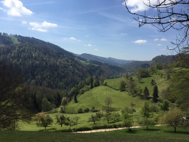 Alleine die Schweiz durchqueren Trans Swiss Trail