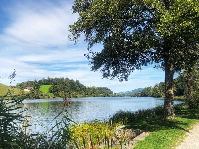 neue Gedankengewohnheit